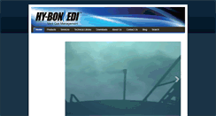 Desktop Screenshot of hy-bon.com